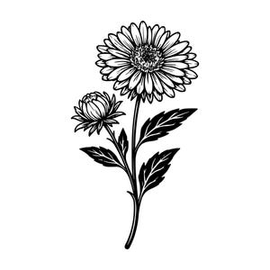 Può includere: Illustrazione in bianco e nero di un fiore di crisantemo con un grande fiore e un bocciolo più piccolo. Il fiore ha petali dettagliati ed è accompagnato da foglie su uno stelo, il tutto su sfondo bianco.