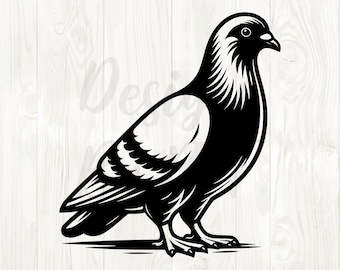 pigeon png, pigeon svg, pigeon clip art, pigeon download, pigeon image, pigeon graphic, pigeon bird clipart, pigeon illustration, pigeons