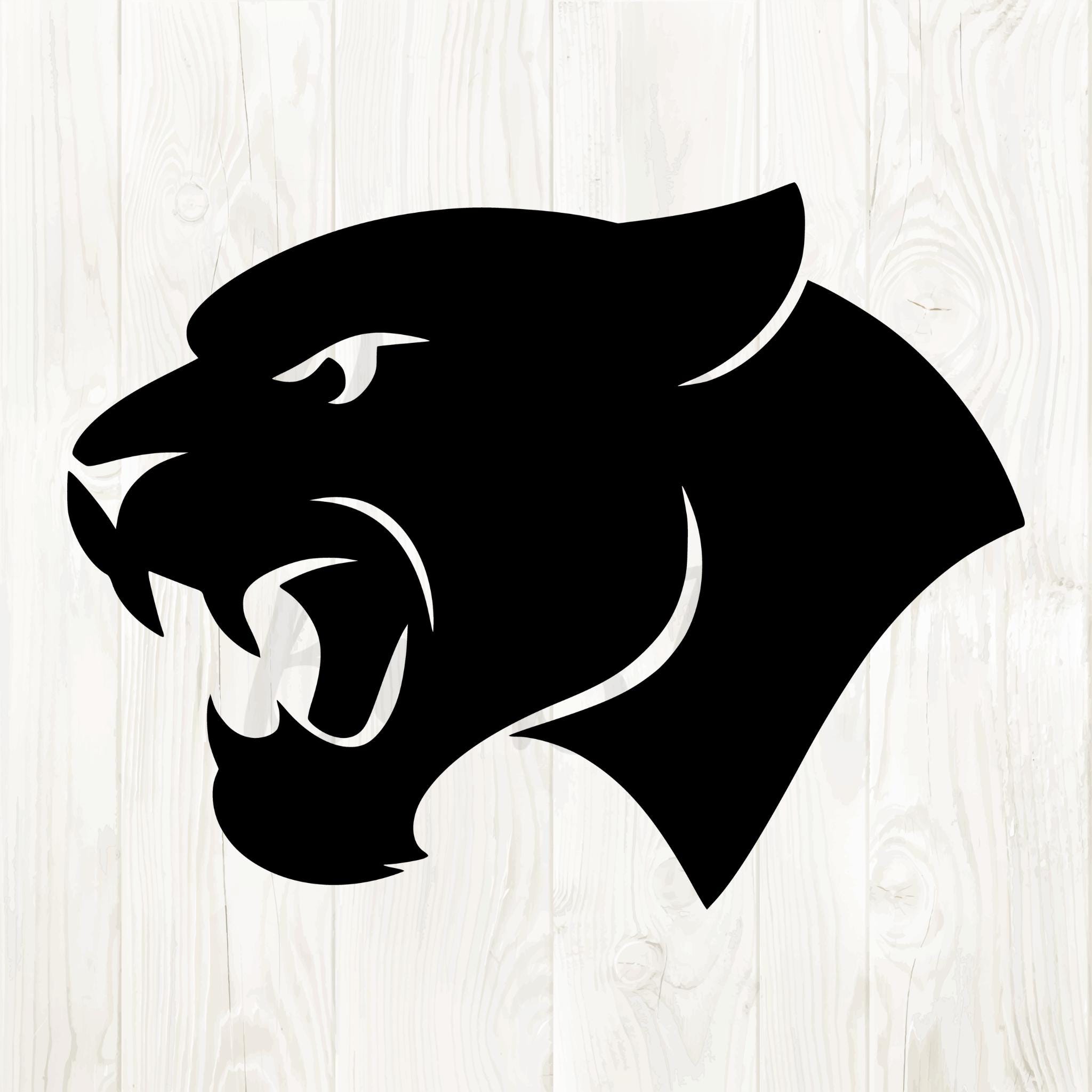 100+] Imágenes de Pantera Negra Animal | Wallpapers.com, image size:2048x2048