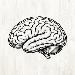 May include: A black and white illustration of a human brain. The brain is depicted in a side view, showcasing the intricate folds and contours of the cerebrum and cerebellum. The image has a detailed, anatomical style.