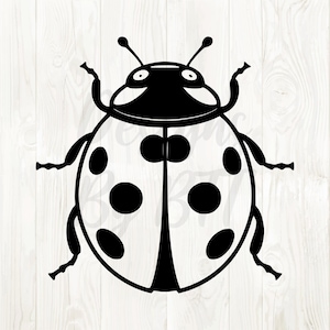 May include: A black and white illustration of a ladybug. The ladybug has a rounded body with large black spots on its wings. The head has antennae and large eyes. The image is a simple, graphic design.
