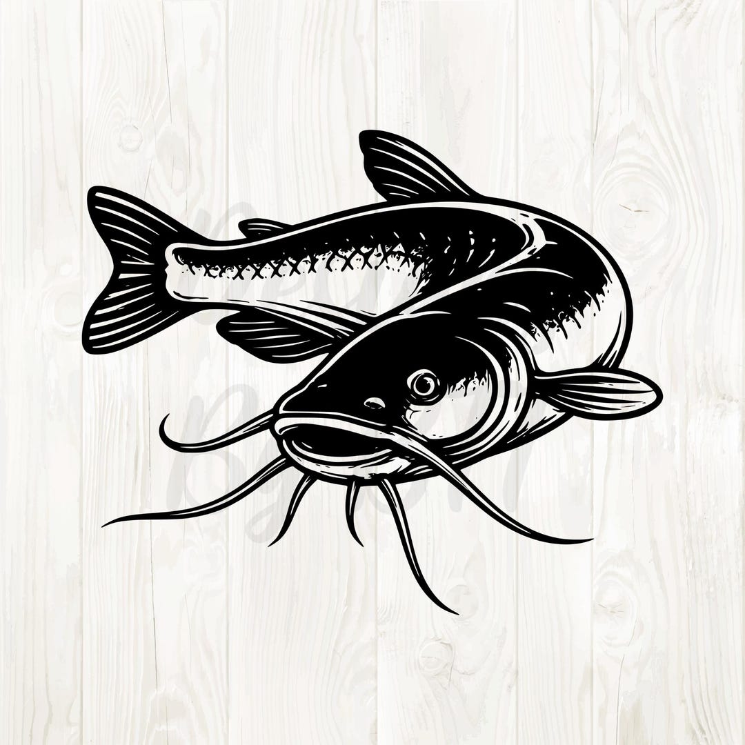 Catfish Png, Catfish Svg Files, Catfish Clipart, Catfish Design ...