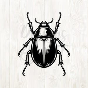 May include: A detailed black and white illustration of a beetle. The image shows the insect's segmented body, legs, and antennae in a stylized design. The artwork has a vintage feel, suitable for various design applications.