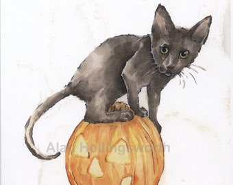 BOO Kitty!, Art Print, Kitten, Black Cat, Pet Portrait, Animal Art, Cats, Wall Art, pumpkin, animal, climb, pet, adorable, halloween, caught