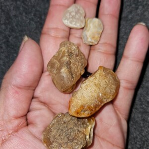 5 pc. Willamette River Agates