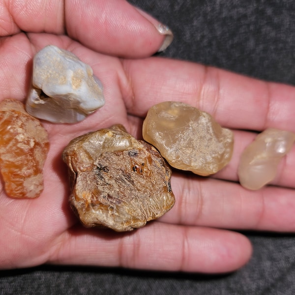 5 pc. Willamette River Agates