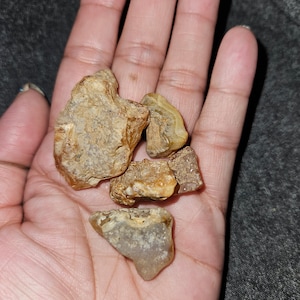 5 pc. Willamette River Agates