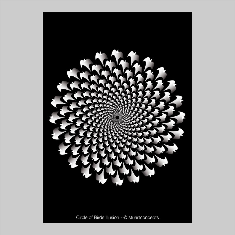art of illusion descripcion art of illusion descripcion