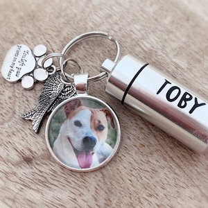 Llavero de cremación de mascotas Llavero conmemorativo de fotos llavero de pelo de mascota para cenizas de perro vial para cenizas Llavero de urna personalizado Recuerdo de joyería