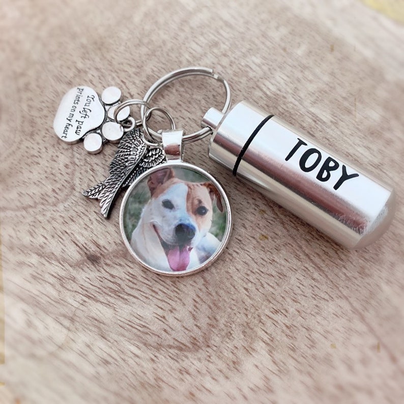 Pet Cremation Key Chain Photo Memorial Key Ring Pet Hair Key Etsy