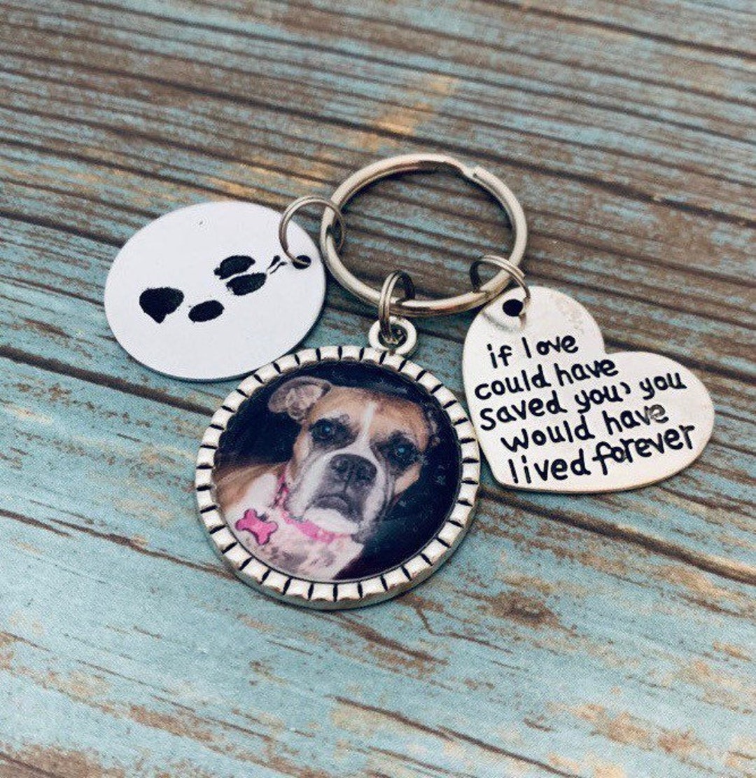 Pet Loss Memorial Jewelry, Custom Pet Photo Gift, Loss of Dog Keepsake ...