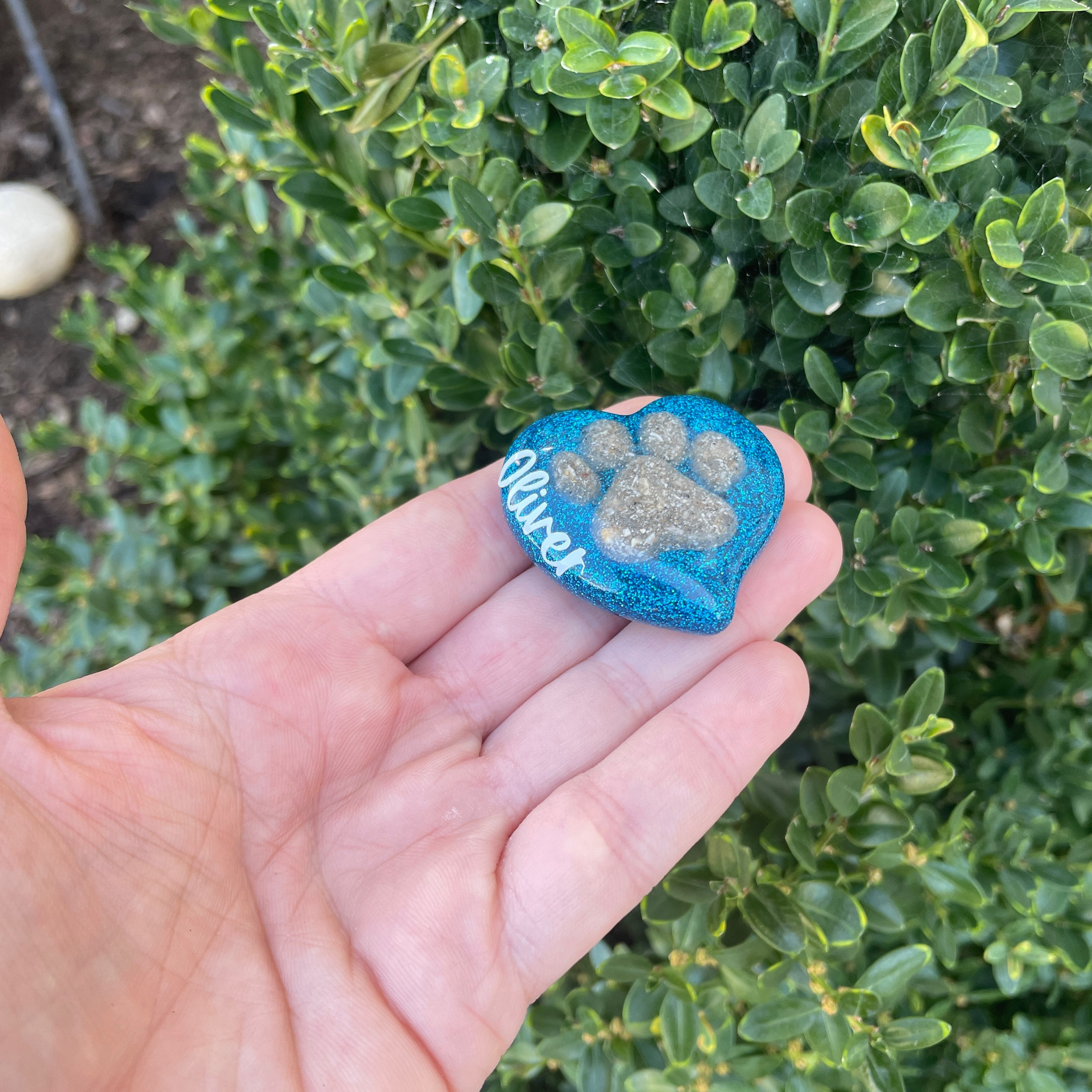 Cremation Ashes Keepsake, Pet Paw Print With Ashes, Dog Memorial, Cat ...