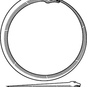 May include: A black and white illustration of a snake biting its own tail, forming a circle. The snake is depicted in a stylized, detailed manner, with scales and a prominent head. The text "ouroboros" is written below the snake.