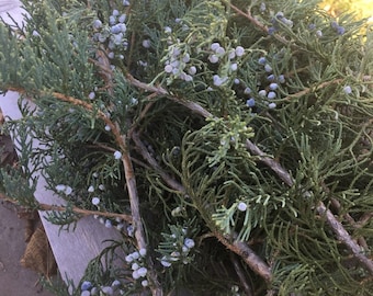 12 ramas de enebro recién cortadas con arándanos: decoración navideña