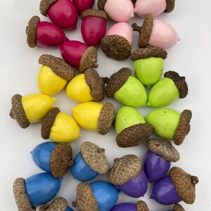 May include: A collection of painted acorns in various colors, including pink, red, yellow, green, blue, and purple. The acorns are arranged in a random pattern on a white surface.