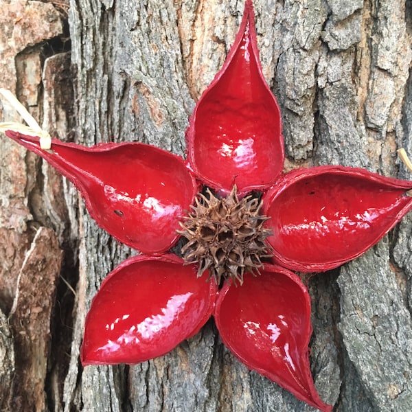 Red Flower Balls Etsy