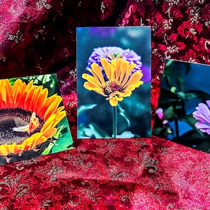 Cartões postais, azulejos de fotos, mousepads, pôsteres e chinelos
