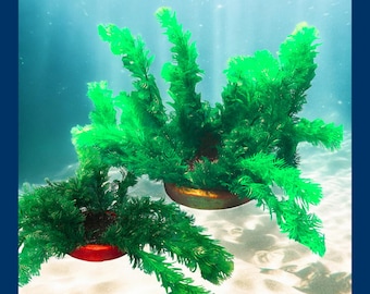 Large Sponge Filter Disguise for up to 5" wide filters in aquarium. Choice of colors. Green plant decor for fish tank.