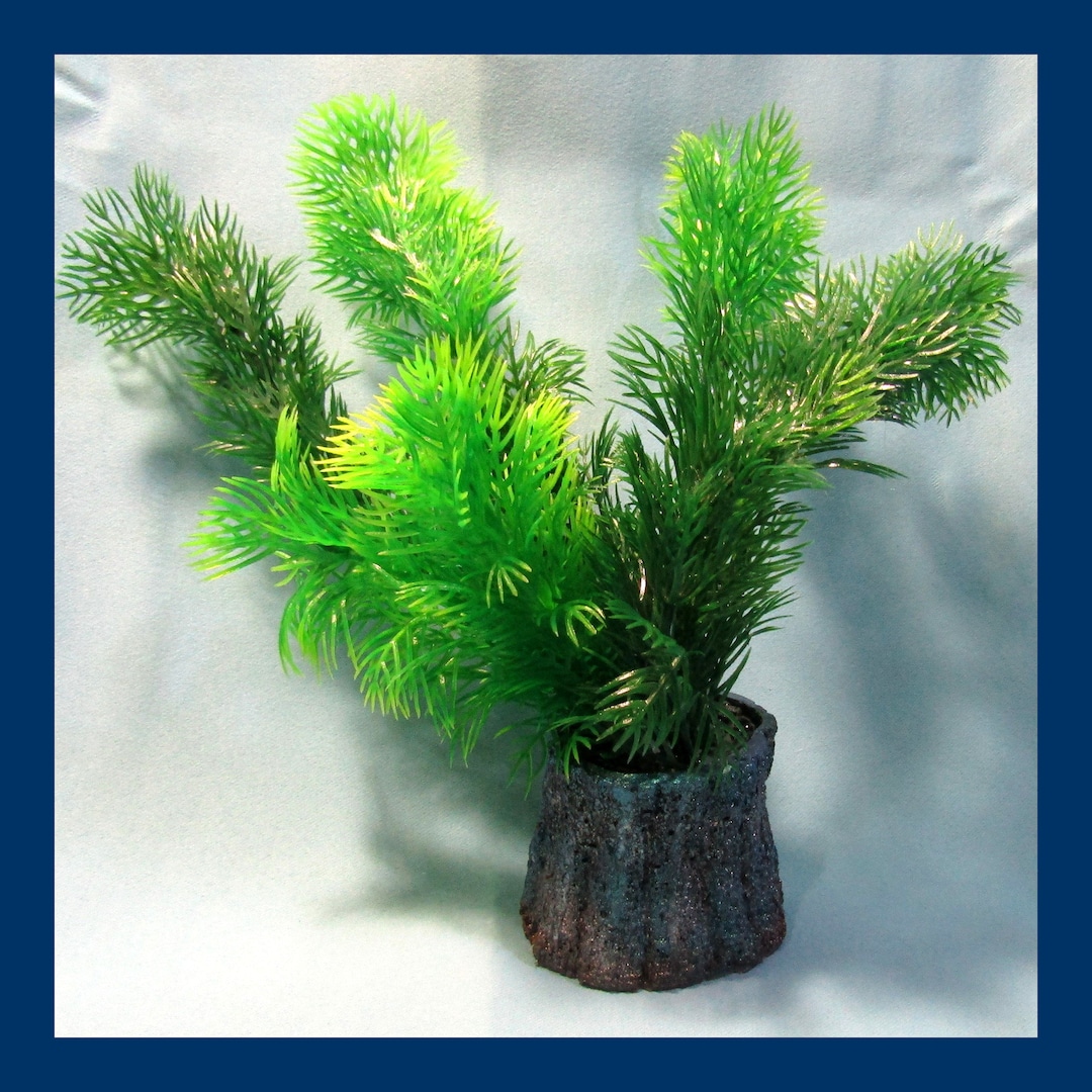 Teal & Copper Tree Stump Aquarium Decoration With Tall Green Etsy