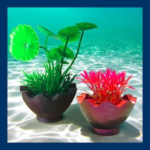 May include: Two potted plants, one with green leaves and the other with red leaves, are submerged in a blue pool of water. The pots are brown and have a scalloped edge.