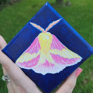 Rosy Maple tiny canvas painting