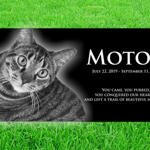 May include: Black granite pet memorial with a photo of a tabby cat and the text "MOTOR JULY 22, 2019 - SEPTEMBER 11, 2020 YOU CAME, YOU PURRED, YOU CONQUERED OUR HEARTS... AND LEFT A TRAIL OF BEAUTIFUL MEMORIES"