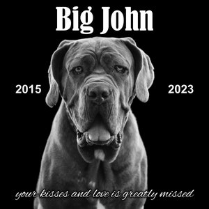 12&quot; x 12&quot;  Personalized Memorial Stone Custom black Granite Personalized Grave Marker Garden Stone Human Dog Cat Horse Bird Garden plaque