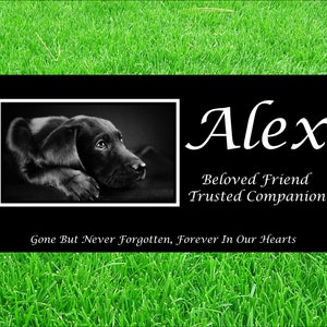 May include: Black and white photo of a black dog named Alex on a black background with the text "Beloved Friend Trusted Companion Gone But Never Forgotten, Forever In Our Hearts".