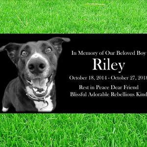 May include: Black and white photo of a dog on a black granite memorial stone. The stone has the text "In Memory of Our Beloved Boy Riley October 18, 2014 - October 27, 2018 Rest in Peace Dear Friend Blissful Adorable Rebellious Kind"