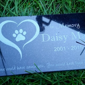 Personalized Pet Memorial Stone: Granite Grave Marker for Dogs, Cats, Horses & More (10x6 inches)