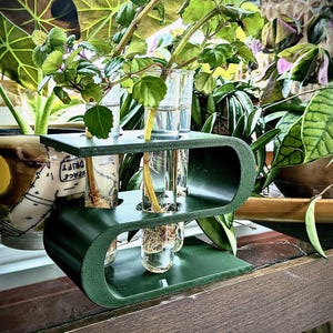 Può includere: Un portavasi verde a due livelli con due provette di vetro riempite d'acqua e talee di piante. Il supporto ha le parole "Space Drift" stampate sul lato.
