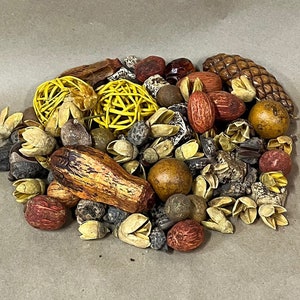 Dried seed pods/pine cones/bowl fillers/jar fillers/fall decor/natural decor/floral supplies/nature decor/earth colors/dried florals