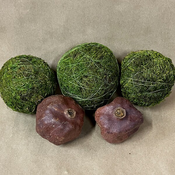 Moss Balls Etsy