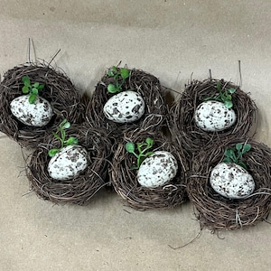 Set of 6 small bird nests with egg/small nest/bird eggs/floral supplies/spring decor/place setting/easter decor/bird lover/spring florals