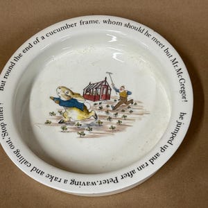 Peter Rabbit Bowl - Etsy