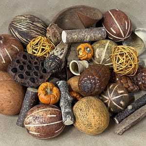 Lot of natural pods, seeds and sticks/bowl filler/natural materials/farmhouse decor/fall decor/table decor/earth colors/floral supplies