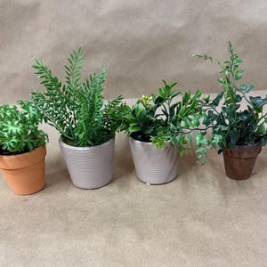 May include: Four small potted plants with green foliage. The pots are in various colors and styles, including terracotta and light gray. The plants vary in shape and texture, offering a diverse display of greenery.