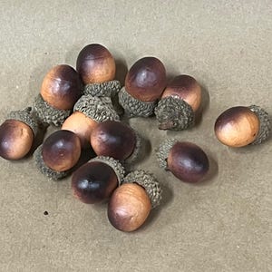 Faux acorns with real caps/fall filler bowl/set of 12/floral supplies/dried flower decor/artificial acorns