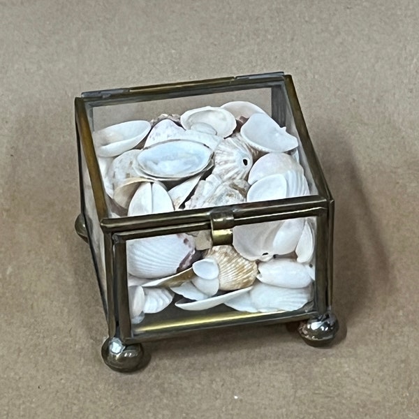 Vintage brass and glass display box/square treasure box with shells/made in Mexico/trinket box/miniature display case/curio box/brass feet