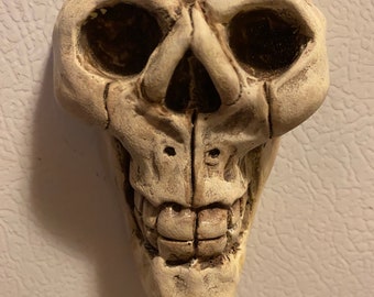 Hand Painted Skull Fridge Magnet