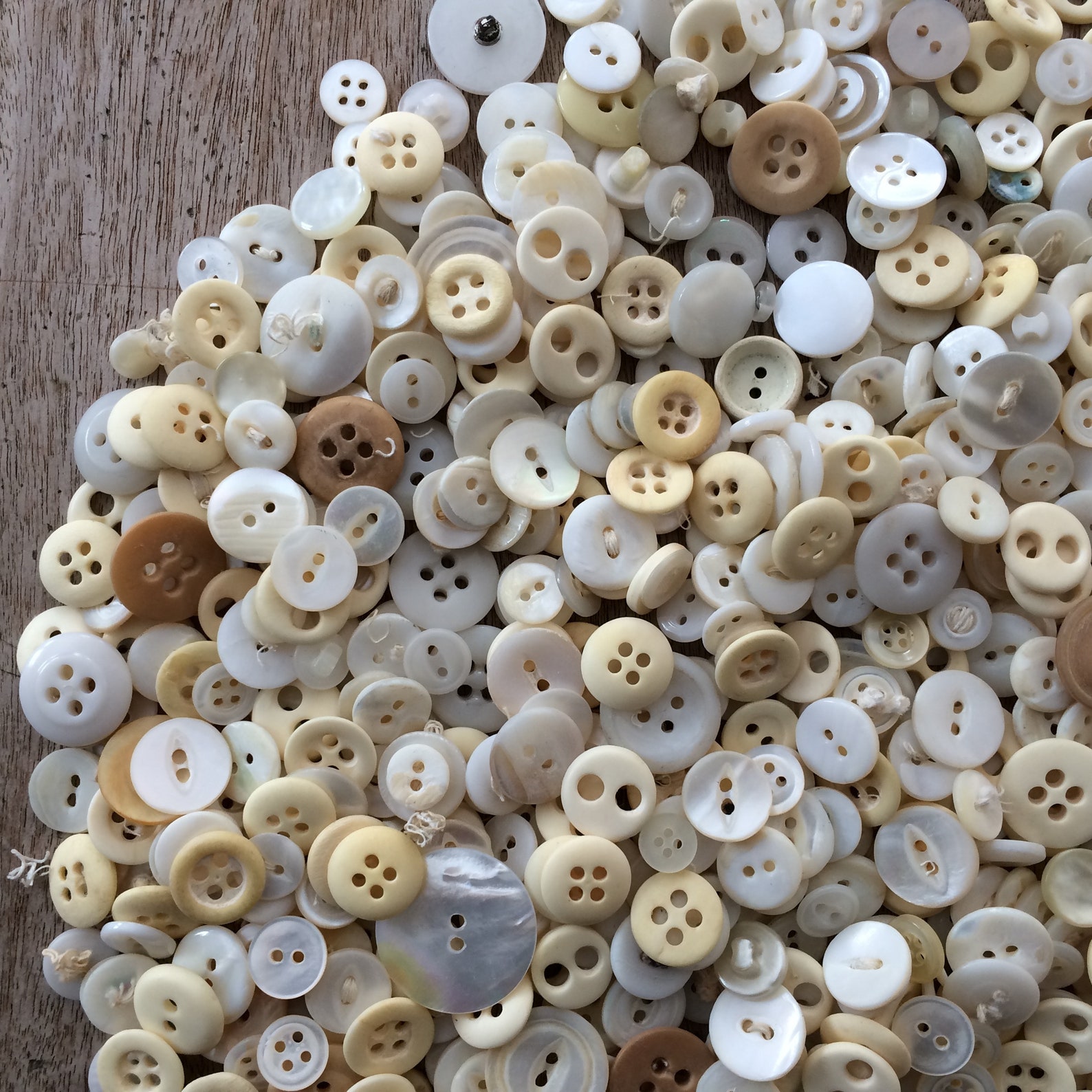 Vintage Button Collection Vintage Buttons Shades of White Etsy