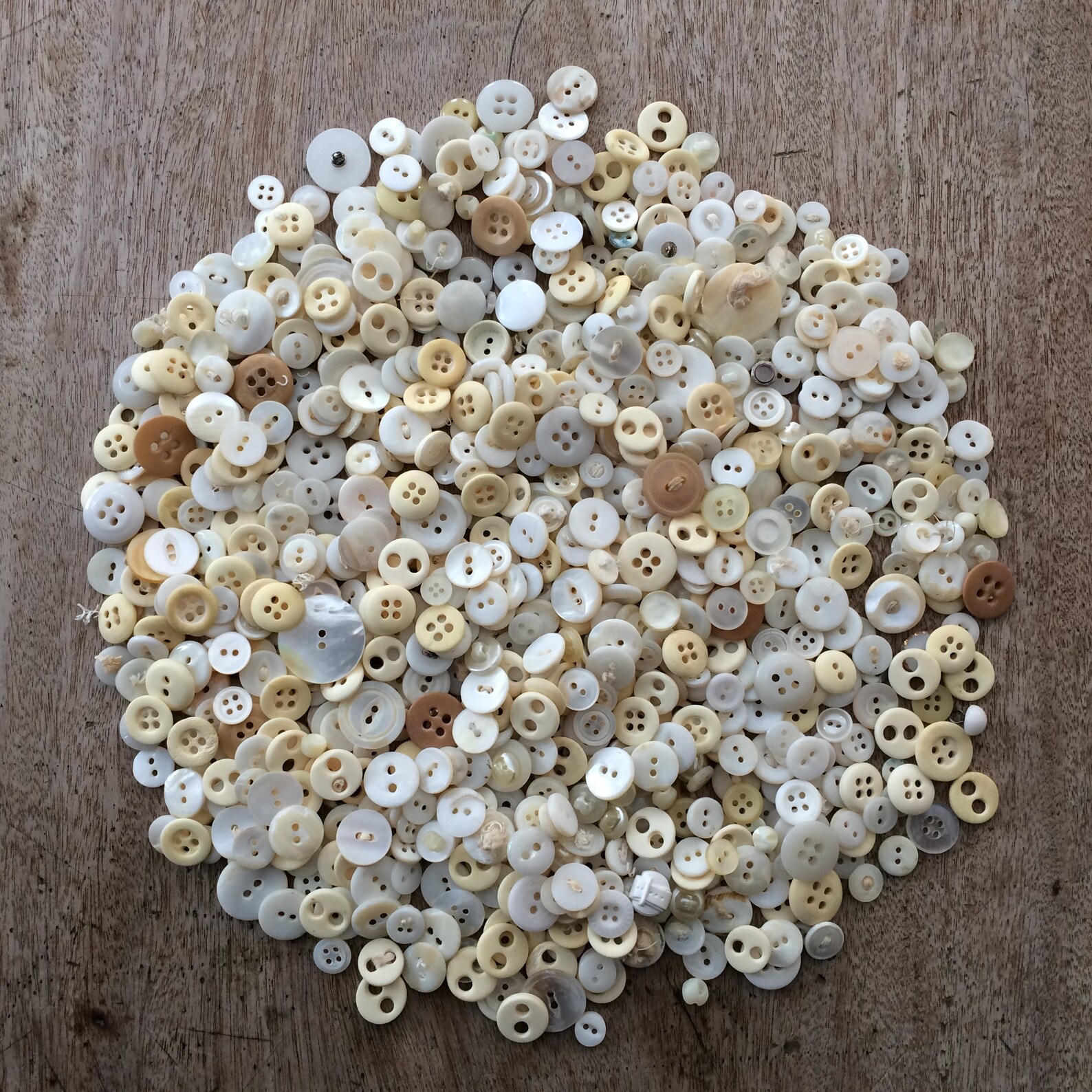 Vintage Button Collection Vintage Buttons Shades of White Etsy