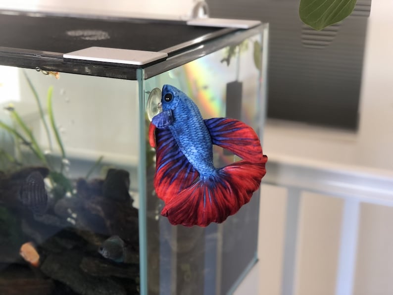 Betta Plush approximately 8 inch image 4