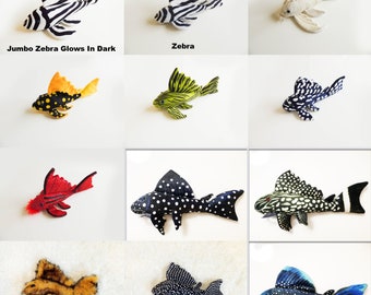 Plecostomus Collection Set of 12 Plecos