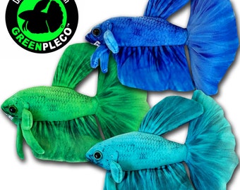 Peacock Betta Trio Collection Set ( approximately 8 inch )