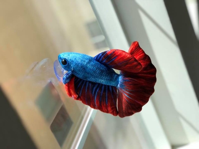 Betta Plush approximately 8 inch image 6