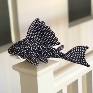 Famous Pleco 12 inch image 1