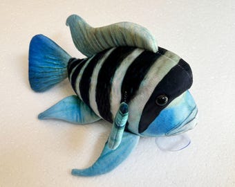 Peluche de cíclido Frontosa (versión actualizada del 8 de marzo de 2026)