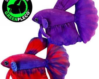 Purple Betta Duo Collection Set ( approximately 8 inch )