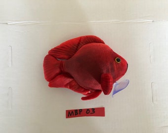 Blood Parrot Cichlid Plush Fish (8 inch) MBP03